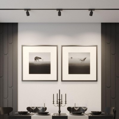 359804 Черный светодиодный однофазный двужильный трековый светильник 10Вт 882Лм 4000К 32° CRI≥90 180-265V IP20 Novotech SOLETTE