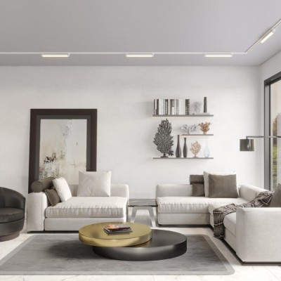 Novotech ITER 359794 Белый однофазный двухжильный трековый светильник длиной 46см, поворотный плафон, с CCT переключением цветовой температуры LED 24Вт Novotech ITER 359794 Белый однофазный двухжильный трековый светильник длиной 46см, поворотный плафон, с CCT переключением цветовой температуры LED 24Вт